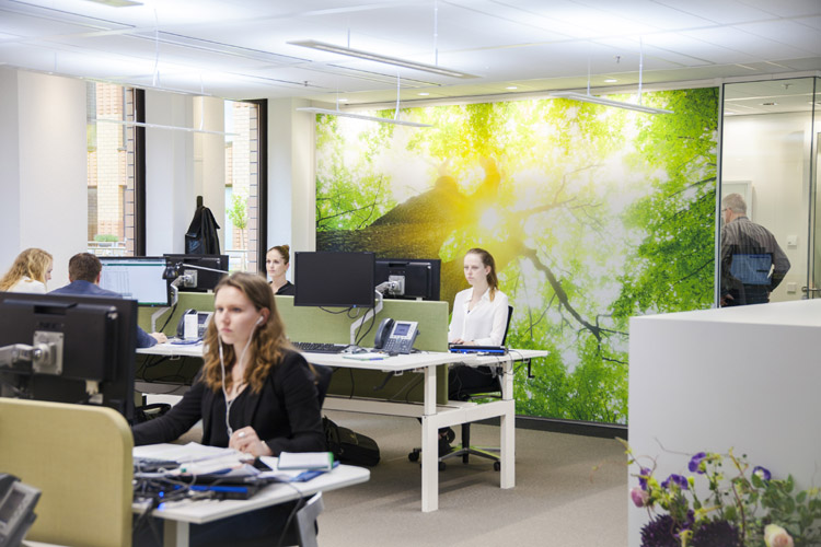 Osram Unterstutzt Healthy Offices Studie On Light Licht Im Netz